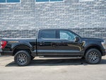 2022 F-150 Thumbnail 4