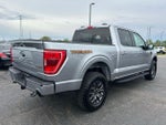 2023 F-150 Thumbnail 8