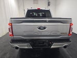 2023 F-150 Thumbnail 6