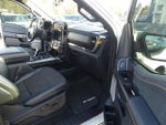 2023 F-150 Thumbnail 8
