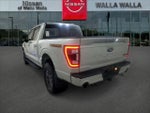 2023 F-150 Thumbnail 3
