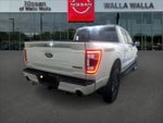 2023 F-150 Thumbnail 4