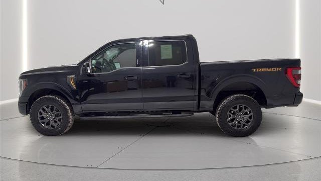 2021 Ford F-150 Tremor