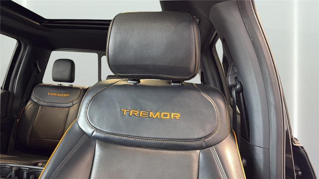 2021 Ford F-150 Tremor