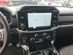 2023 F-150 Thumbnail 10