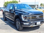 2023 F-150 Thumbnail 3
