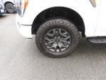 2023 F-150 Thumbnail 14