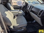 2017 F-150 Thumbnail 16