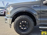 2017 F-150 Thumbnail 10