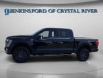 2022 F-150 Thumbnail 1
