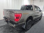 2023 F-150 Thumbnail 4