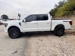 2023 F-150 Thumbnail 4