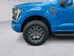 2021 F-150 Thumbnail 9