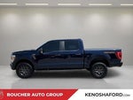 2022 F-150 Thumbnail 8