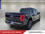 2022 F-150 Thumbnail 5