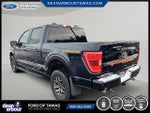 2023 F-150 Thumbnail 17