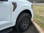 2023 F-150 Thumbnail 6