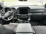 2023 F-150 Thumbnail 13