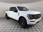 2023 F-150 Thumbnail 1