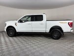 2023 F-150 Thumbnail 4