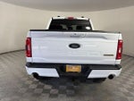 2023 F-150 Thumbnail 6