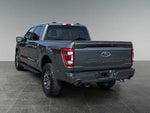 2023 F-150 Thumbnail 7