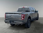 2023 F-150 Thumbnail 9