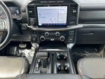 2023 F-150 Thumbnail 12