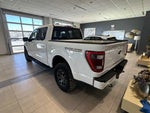 2023 F-150 Thumbnail 4