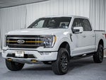 2023 F-150 Thumbnail 3