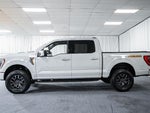 2023 F-150 Thumbnail 5