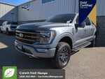 2023 F-150 Thumbnail 9