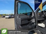 2023 F-150 Thumbnail 12
