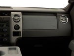 2010 F-150 Thumbnail 5