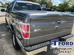 2010 F-150 Thumbnail 10