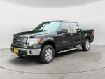 2010 F-150 Thumbnail 1