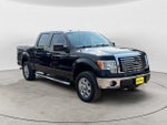 2010 F-150 Thumbnail 3