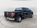 2010 F-150 Thumbnail 4