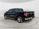 2010 F-150 Thumbnail 6