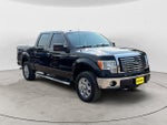 2010 F-150 Thumbnail 3