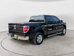 2010 F-150 Thumbnail 4