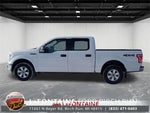 2017 F-150 Thumbnail 6
