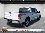 2017 F-150 Thumbnail 8