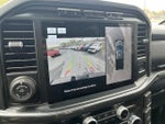 2023 F-150 Thumbnail 19