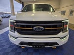 2021 F-150 Thumbnail 2