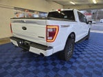 2021 F-150 Thumbnail 6