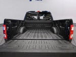 2022 F-150 Thumbnail 10