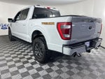 2023 F-150 Thumbnail 6
