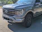 2023 F-150 Thumbnail 9