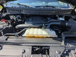 2023 F-150 Thumbnail 47